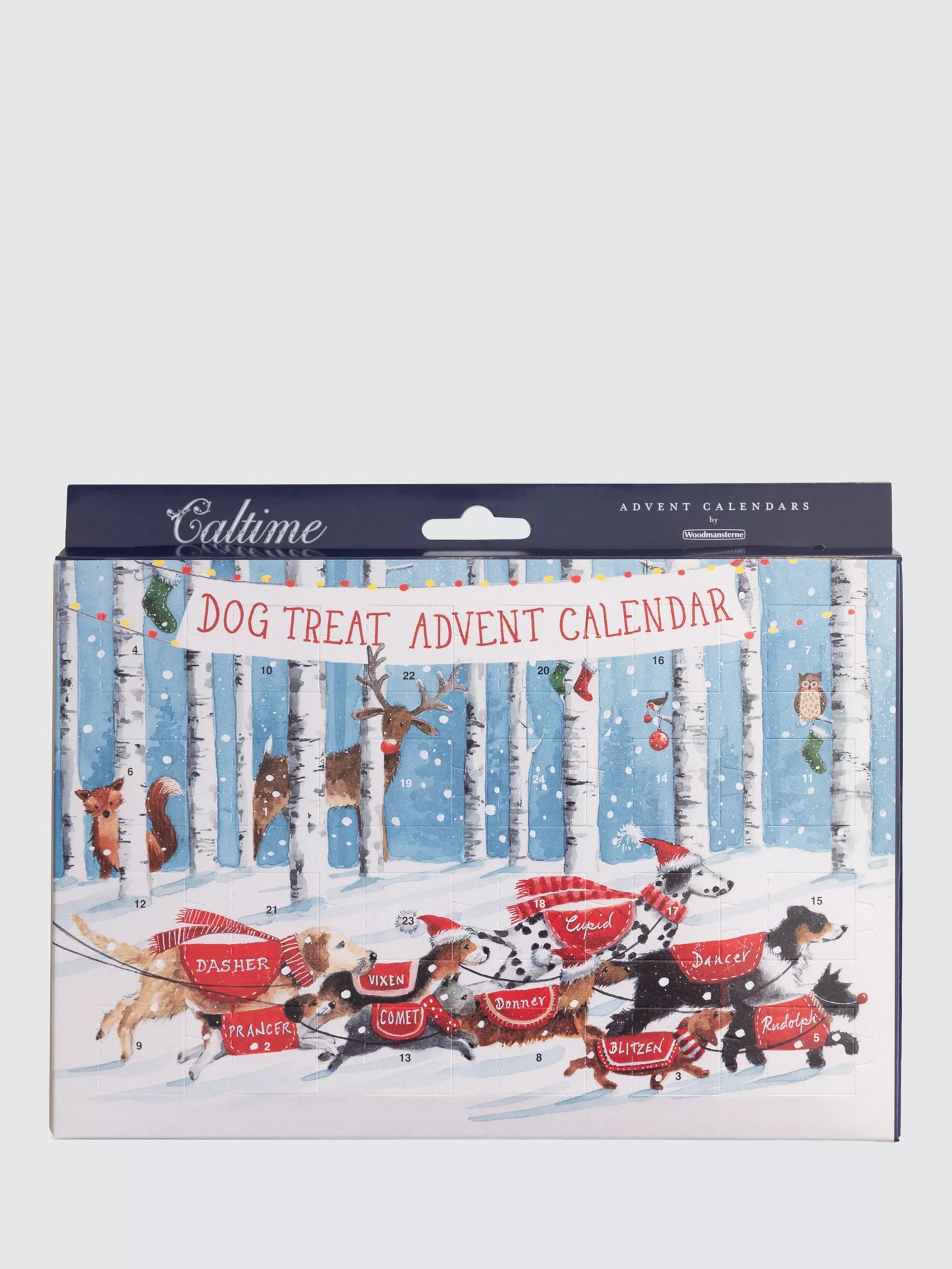 Caltime Dog Treat Advent Calendar